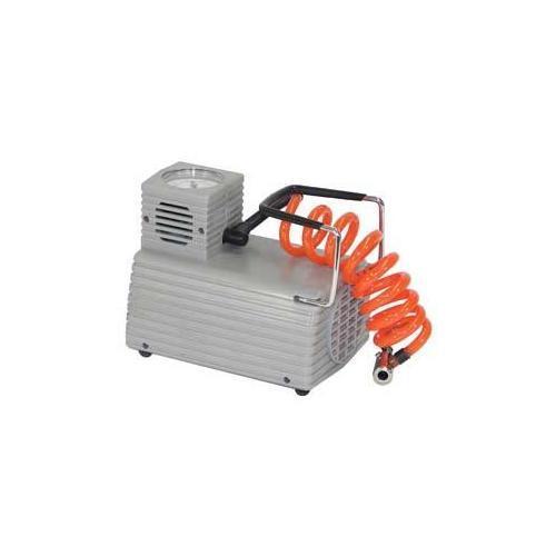 Economy Electric Pump