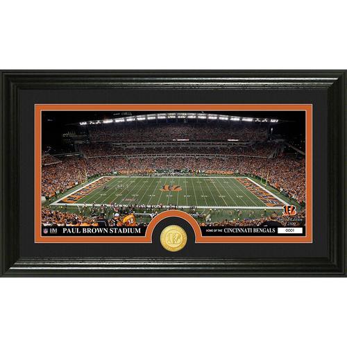 Cincinnati Bengals inStadiumin Bronze Coin Panoramic Photo Mint