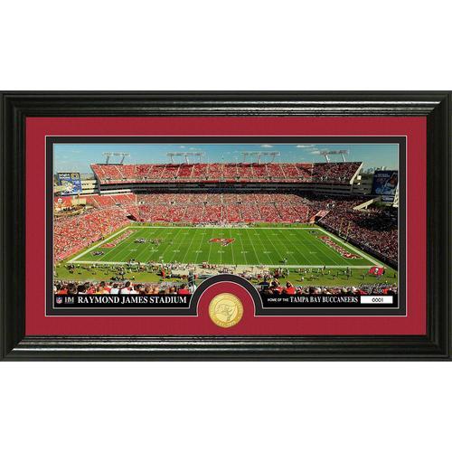 Tampa Bay Buccaneers inStadiumin Bronze Coin Panoramic Photo Mint