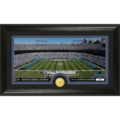 Carolina Panthers inStadiumin Bronze Coin Panoramic Photo Mint