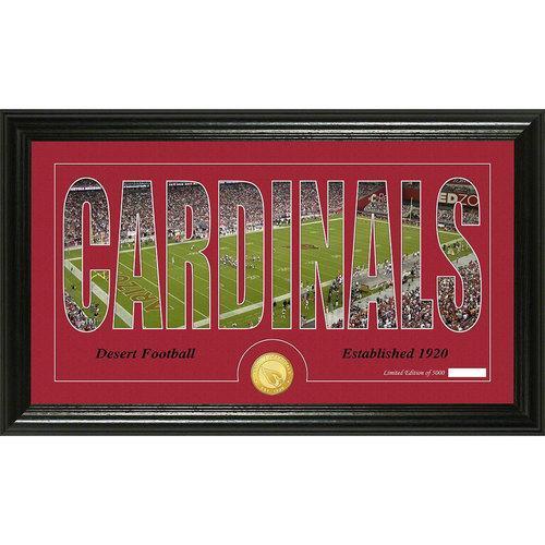 Arizona Cardinals Silhouette" Bronze Coin Panoramic Photo Mint"