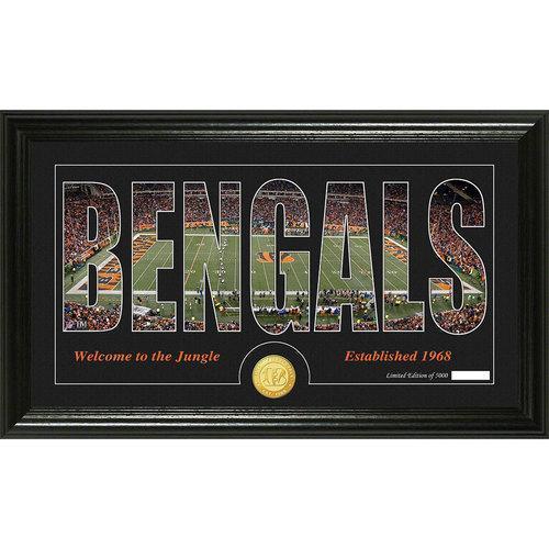 Cincinnati Bengals Silhouette" Bronze Coin Panoramic Photo Mint"