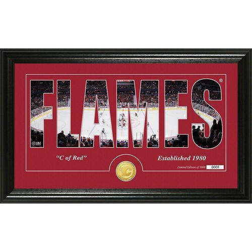 Calgary Flames Silhouette" Bronze Coin Panoramic Photo Mint"