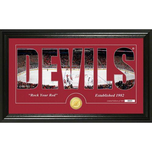 New Jersey Devils Silhouette" Bronze Coin Panoramic Photo Mint"